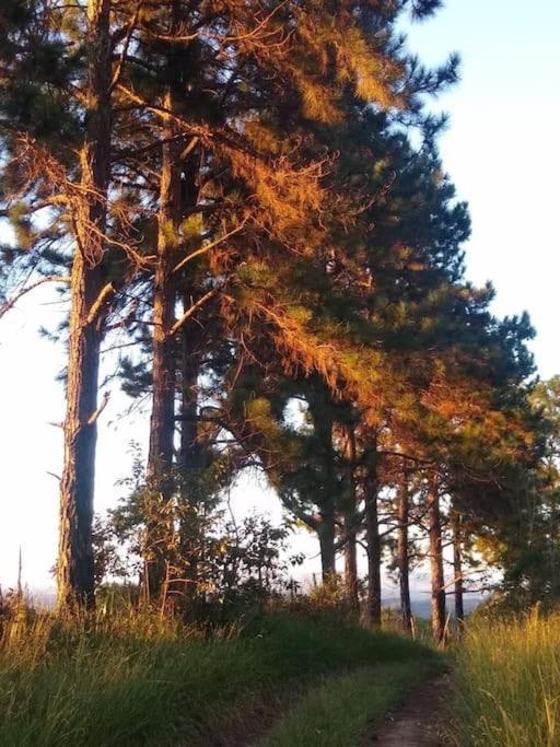 Chale Aconchegante Em Estancia Climatica Santo Antônio do Leite Zewnętrze zdjęcie